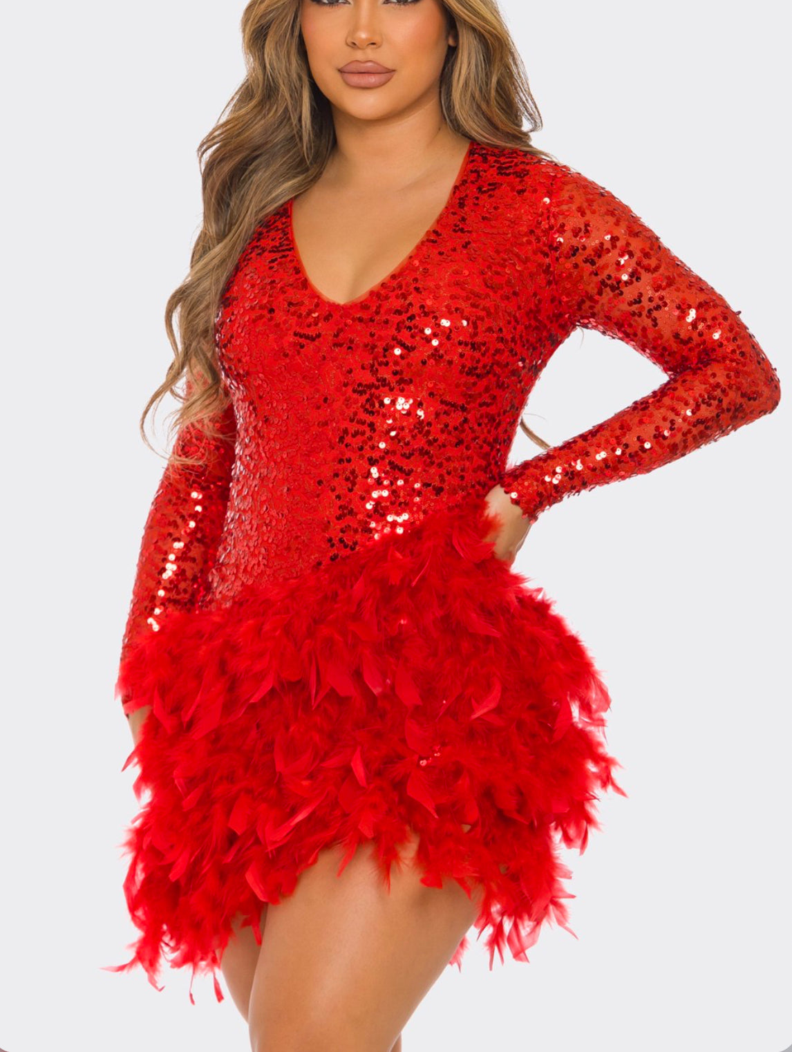 SEQUIN V-NECK LONG SLEEVE FEATHER DRESS