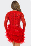 SEQUIN V-NECK LONG SLEEVE FEATHER DRESS