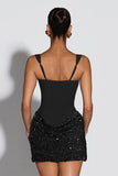Sequins Panel Bodycon Mini Dress